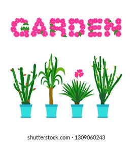 Greeting card with cactus. Vector illustration of different flowers in pots.