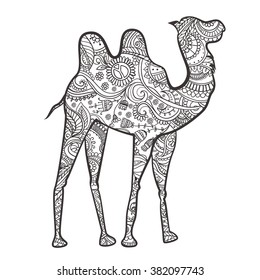 Greeting card with camel. Ornamental of animal made in vector. Design element for decorations. Hand drawn map with camel desert. He lives in the arid region desert, semi-desert and steppe