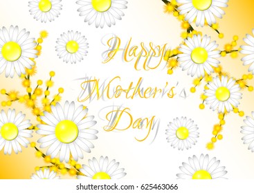 Greeting card with camomiles and branch of mimosa for Women's or Mother's day on white background. Vector illustration