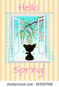 Greeting card with a cat sitting in the open window. Outside, a flowering tree with pink flowers. Hello spring! Eps 10