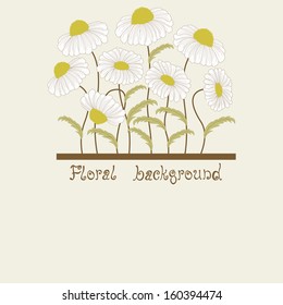 Greeting card with chamomiles and place for text