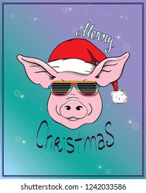 Greeting card, Christmas sticker, Vector Christmas illustration of Pig in Santa's hat and in disco glasses. Lettering Merry Christmas. Hand drawn
