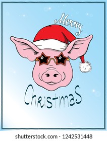 Greeting card, Christmas sticker, Vector Christmas illustration of Pig in Santa's hat and in star disco glasses. Lettering Merry Christmas. Hand drawn