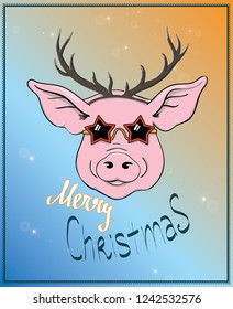 Greeting card, Christmas sticker, Vector Christmas illustration of Pig in disco star glasses and reindeer horns. Lettering Merry Christmas. Hand drawn