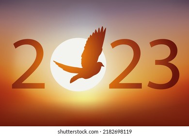 Greeting card concept for 2023, on the theme of peace and freedom with a dove that flies in front of a sunset.