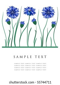 Tarjeta de saludo con flores de maíz