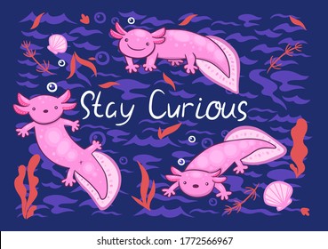 Greeting card with cute axolotls and the inscription stay curious . Vector graphics.