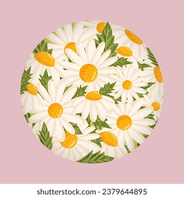 Greeting card with cute chamomile flowers in a circle. Botanical vector isolated illustration for postcard, poster, ad, decor, fabric and other uses.