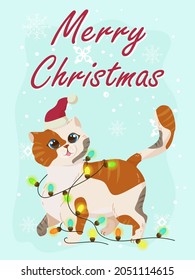 Greeting card with a cute kitten for Christmas and New Year. Congratulations on the holidays. Winter vector illustration isolated on white background.
