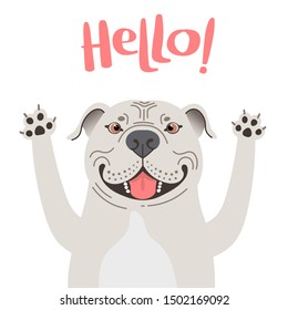 Greeting card with cute Pitbul dog. Sweet American Staffordshire Pit Bull Terrier says hello. Vector illustration.