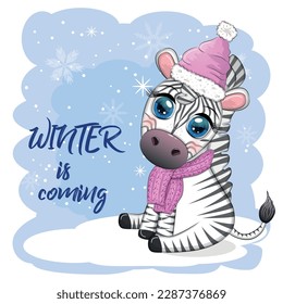 Greeting card with cute zebra in santa hat with christmas ball, candy kane, gift. The winter is coming. Wildlife holidays cartoon character.