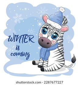 Greeting card with cute zebra in santa hat with christmas ball, candy kane, gift. The winter is coming. Wildlife holidays cartoon character.