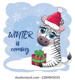 Greeting card with cute zebra in santa hat with christmas ball, candy kane, gift. The winter is coming. Wildlife holidays cartoon character.