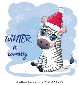 Greeting card with cute zebra in santa hat with christmas ball, candy kane, gift. The winter is coming. Wildlife holidays cartoon character.