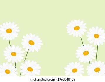 Greeting card daisies flowers vector Illustration - Shutterstock ID 1968848485
