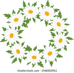 greeting card daisy flower frame vector Illustration