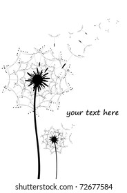 the greeting card dandelion