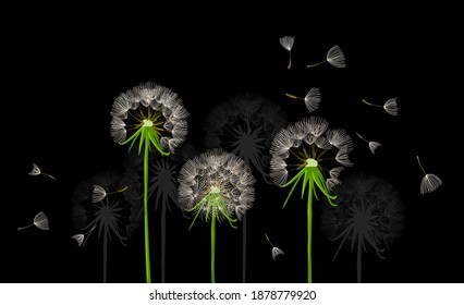 Greeting card with delicate dandelions. Vector illustration