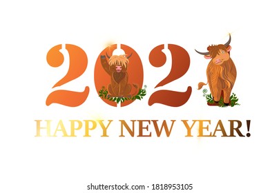 Greeting card design template. Happy new year 2021 with cute scottish long haired bulls in cartoon style.