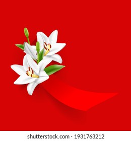 Greeting card design with white lily and red ribbon on bright background. International women's day, mother day postcard, banner, poster, placard, flyer. Vector illustration