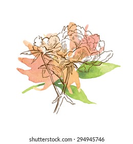 Greeting card elements. Peons flower. Calligraphy inscriptions. 