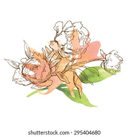 Greeting card elements. Peons flower. Calligraphy inscriptions. 