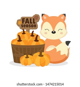 Greeting card for the fall season. Cute fox and pumpkins.
