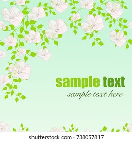 Greeting card Floral Design Pattern with Sakura Flowers and green leaves. Green background.