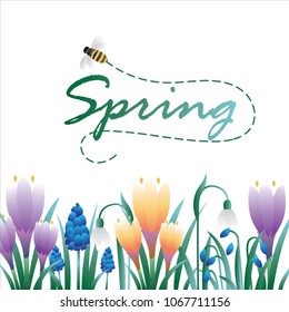 

Greeting card floral spring flowers. Vector flowers field with snowdrops, dandelions, crocus flowers, isolated on white background. The flying bee.
