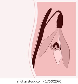 greeting card with flower