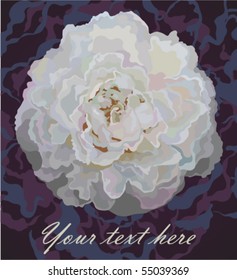 Greeting card with flower