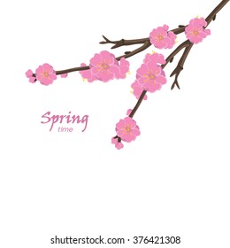 Greeting card with flower plum and inscription - Spring time. Spring Festival. Color vector illustration.