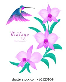 Greeting card with flowers and bird. Flying hummingbird and violet orchids isolated on white background.