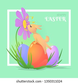 Greeting card with a frame for Easter holiday with a cute rabbit that is reaching for the big flower. Also, there are three multicolored eggs. All the elements on a light green background.