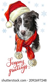 Greeting card. Funny border collie dog portrait with a scarf and Christmas hat with snowflakes and lettering. Vector illustration. For decor, design, print, posters, stickers, t-shirt, embroidery