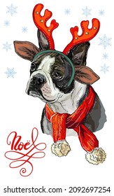 Greeting card. Funny boston terrier dog portrait with scarf and deer antlers with snowflakes and lettering. Vector illustration. For decor, design, print, posters, stickers, t-shirt, embroidery