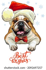 Greeting card. Funny bulldog dog portrait with a bow and Christmas hat with snowflakes and lettering. Vector illustration. For decor, design, print, posters, stickers, t-shirt, embroidery