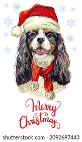 Greeting card. Funny cavalier king charles spaniel dog portrait with a scarf and Christmas hat with snowflakes and lettering. Vector illustration. For decor, design, print, t-shirt, embroidery