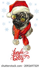 Greeting card. Funny pug dog portrait with a scarf and Christmas hat with snowflakes and lettering. Vector illustration. For decor, design, print, posters, stickers, t-shirt, embroidery