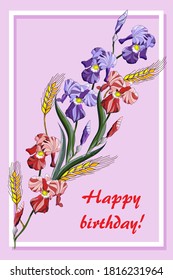 Greeting card Happy birthday! Purple, violet, red flowers irises on pink background vector illustration