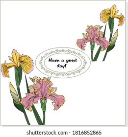 Greeting card Have a nice day! Purple, violet, yellow flowers irises on white background vector illustration
