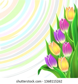 Greeting card. Illustration of a bouquet of tulips. Vector