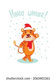 greeting card with the inscription hello winter with a cute chinese tiger, the symbol of the  new year. flat style. a tiger in a New Year's hat and a red scarf rejoices and smiles, waving his paw