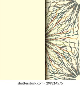 greeting card, invitation card and background