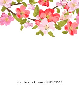 Greeting card, invitation, banner. Frame for your text with floral background. Isolated flowers of sakura. Vector illustration.