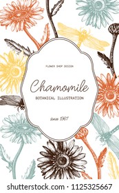Greeting card or invitation floral design for wedding or other celebration. Vector frame with hand drawn chamomile anf dragonflies sketches. Vintage template.