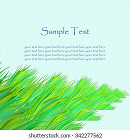 Greeting card or invitation with natural herbal background.Green grass. lace hand drawn ornament . vector illustration