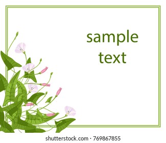 Greeting card, invitation with space for text. Pink flower, convolvulus with buds, light, delicate. On the perimeter of the invitation is a green frame. The background is white. Isolated