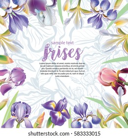 Greeting card with iris flowers