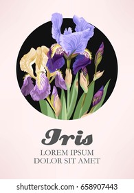 Greeting card with iris flowers